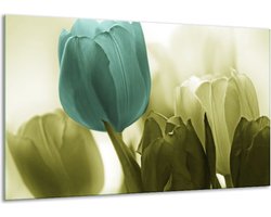 Schilderij Op Canvas Tulp - Blauw, Zwart, Groen - 120x70cm 1Luik - Foto Op Canvas - GroepArt 6000+ Schilderijen 0p Canvas Art Collectie - Wanddecoratie - Woonkamer - Slaapkamer - Canvas Print