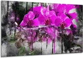 Schilderij Op Canvas Orchidee - Paars, Grijs, Wit - 120x70cm 1Luik - Foto Op Canvas - GroepArt 6000+ Schilderijen 0p Canvas Art Collectie - Wanddecoratie - Woonkamer - Slaapkamer - Canvas Print