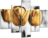 Glasschilderij -  Tulpen - Goud, Wit, Grijs - 100x70cm 5Luik - Geen Acrylglas Schilderij - GroepArt 6000+ Glasschilderijen Collectie - Wanddecoratie- Foto Op Glas
