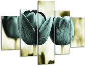 Peinture sur verre tulipe | Bleu, noir, vert | 100x70cm 5Liège | Tirage photo sur verre |  F003773