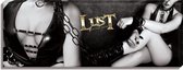 Magic Silk - Canvas - 36x13 - Lust | Size:  |  Magic Silk,Promotion Materials