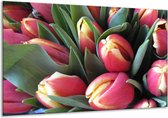 Schilderij Op Canvas Tulp - Roze, Groen, Geel - 120x70cm 1Luik - Foto Op Canvas - GroepArt 6000+ Schilderijen 0p Canvas Art Collectie - Wanddecoratie - Woonkamer - Slaapkamer - Canvas Print