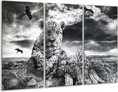 GroepArt - Schilderij -  Natuur - Grijs, Wit, Zwart - 120x80cm 3Luik - 6000+ Schilderijen 0p Canvas Art Collectie