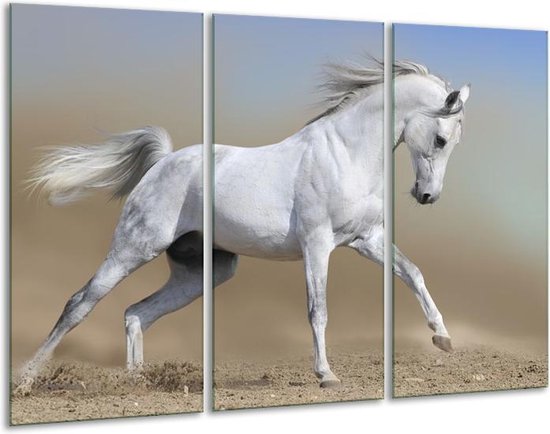 Canvas schilderij Paard | Wit, Grijs | | F002629