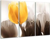 GroepArt - Schilderij -  Tulpen - Geel, Wit, Grijs - 120x80cm 3Luik - 6000+ Schilderijen 0p Canvas Art Collectie