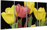 GroepArt - Glasschilderij - Tulpen - Roze, Geel, Groen - 160x80cm 4Luik - Foto Op Glas - Geen Acrylglas Schilderij - 6000+ Glasschilderijen Collectie - Wanddecoratie