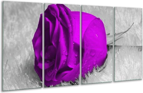 GroepArt - Glasschilderij - Roos - Paars, Grijs - 160x80cm 4Luik - Foto Op Glas - Geen Acrylglas Schilderij - 6000+ Glasschilderijen Collectie - Wanddecoratie