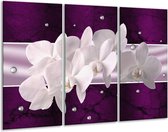Glasschilderij Orchidee - Wit, Paars - 120x80cm 3Luik - Foto Op Glas - Geen Acrylglas Schilderij - GroepArt 6000+ Glas Art Collectie - Maatwerk Mogelijk