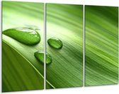 Glasschilderij Druppels - Groen, Wit, Grijs - 120x80cm 3Luik - Foto Op Glas - Geen Acrylglas Schilderij - GroepArt 6000+ Glas Art Collectie - Maatwerk Mogelijk