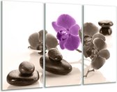 Peinture sur verre d'orchidée | Violet, gris, blanc | 120x80cm 3 Liège | Tirage photo sur verre |  F004491