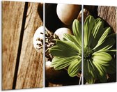 Peinture sur verre fleur | Vert, blanc, gris | 120x80cm 3 Liège | Tirage photo sur verre | F002528