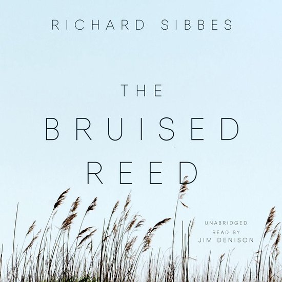 The Bruised Reed - cover
