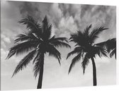 2 Palmbomen zwart wit - Foto op Canvas - 90 x 60 cm