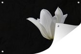 Tuindecoratie Witte tulp - 60x40 cm - Tuinposter - Tuindoek - Buitenposter