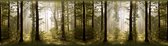 Sanders & Sanders zelfklevende behangrand bosrijk landschap mosgroen - 600068 - 14 x 500 cm