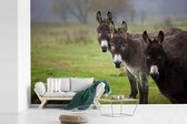 Behang - Fotobehang Drie ezels op grasveld - Breedte 330 cm x hoogte 220 cm
