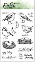 Songbirds Clear Stamps (A-147)