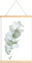 JUNIQE - Posterhanger Eucalyptus White 1 -30x45 /Groen & Wit