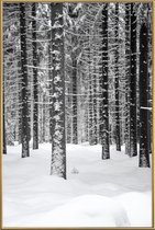 JUNIQE - Poster met kunststof lijst Deep Dark White Forest -40x60