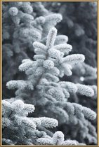 JUNIQE - Poster met kunststof lijst Winter Forest -20x30 /Grijs & Wit