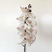 Boeket van de orchidee MET NATUURLIJKE TOUCH 100 CM
