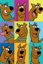 Poster - Scooby Doo The Many Faces Scooby Doo - 91.5 X 61 Cm - Multicolor