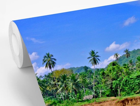 Vinyle Papier peint photo - Un groupe d'éléphants se baigner dans le flux Ma Oya dans Pinnawala sur Ceylan largeur 525 cm x hauteur 350 cm - impression sur le papier peint photo (disponible en 7 tailles)