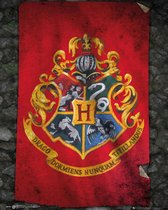 Harry Potter - Mini Poster 40X50 - Hogwarts Flag