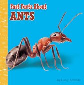 Fast Facts About Bugs & Spiders - Fast Facts About Ants