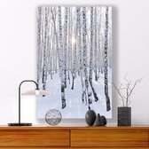 Aluminium Schilderij Winter Wonderland