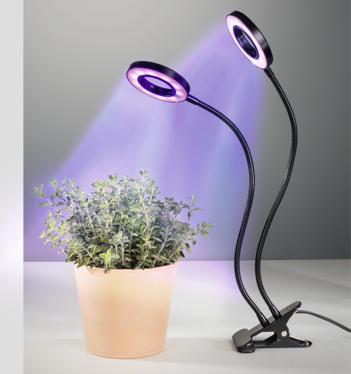 Xavax Led-plantenlamp "Circle