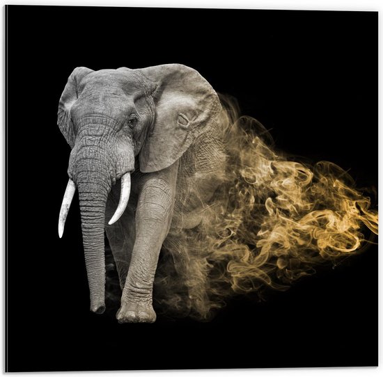 Dibond - Zwart Wit Foto met Gouden Rook bij Olifant - 50x50cm Foto op Aluminium (Met Ophangsysteem)