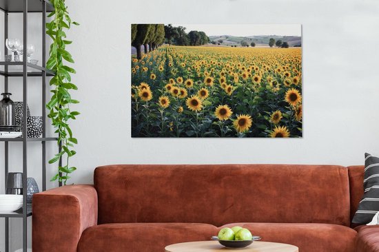 Peintures sur toile - Tournesol - Colline - Printemps - 120x80 cm - Décoration murale