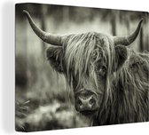 Canvas Schilderij Schotse hooglander - Koeien - Zwart - Wit - 40x30 cm - Wanddecoratie