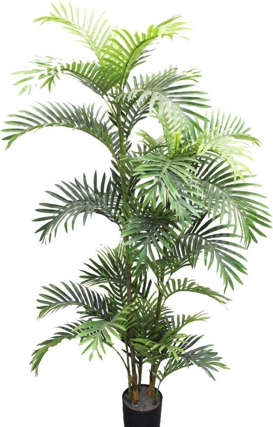 Palmier areca de plante artificielle avec pot - h160cm