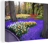 Fleurs dans le Keukenhof en Holland méridionale 40x30 cm - petit - Tirage photo sur toile (Décoration murale salon / chambre) / Peintures Fleurs sur toile
