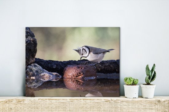 Canvas Schilderij Een Kuifmees zit op een boomstam - 40x30 cm - Wanddecoratie