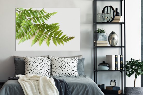 Feuille verte d'une fougère sur fond blanc 120x80 cm - Tirage photo sur toile (Décoration murale salon / chambre)