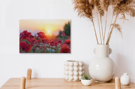 Coquelicots avant le soleil couchant toile 2cm 30x20 cm - petit - Tirage photo sur toile (Décoration murale salon / chambre)