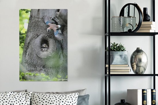 Jay avec un hibou 60x90 cm - Tirage photo sur toile (Décoration murale salon / chambre)