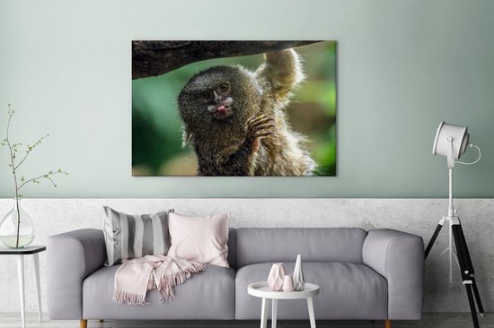 Ouistiti pygmée tirant la langue sur toile 2cm 140x90 cm - Tirage photo sur toile (Décoration murale salon / chambre) / Animaux sauvages Peintures sur toile