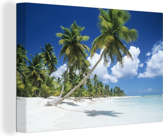 Tableau sur toile Oscillation de corde sur grand palmier à la plage de sable bla