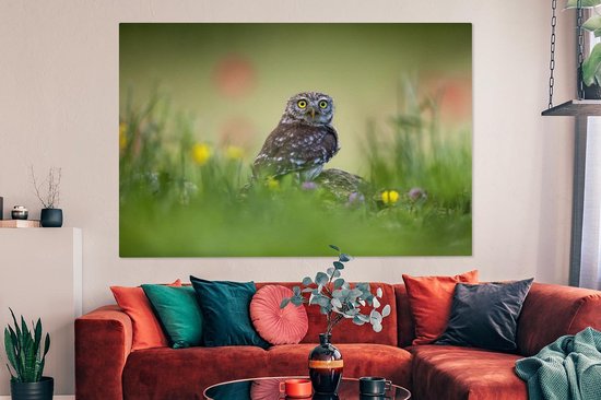 Chouette assise sur un rocher dans un champ 180x120 cm - Tirage photo sur toile (Décoration murale salon / chambre) XXL / Groot format!