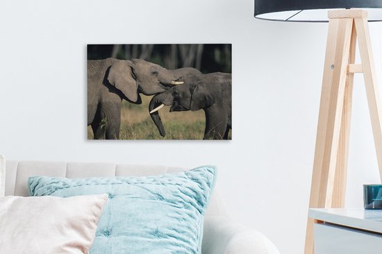 Toile d'éléphants gambadeurs 2cm 30x20 cm - petit - Tirage photo sur toile (Décoration murale salon / chambre) / animaux sauvages Peintures sur toile