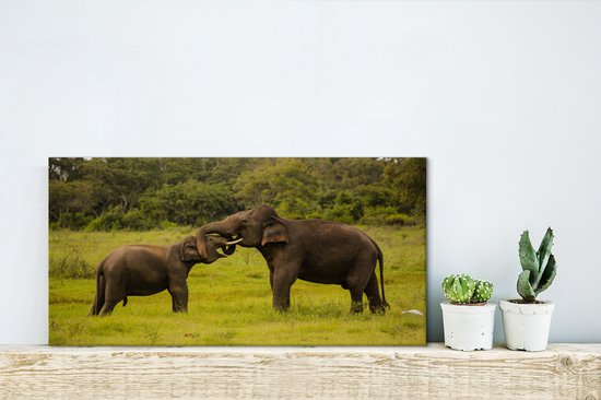 Deux éléphants de combat sur toile 2cm 30x20 cm - petit - Tirage photo sur toile (Décoration murale salon / chambre) / Animaux sauvages Peintures sur toile