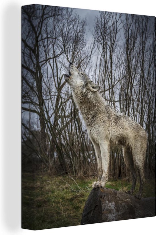 Canvas Schilderij Wolf - Grijs - Bos - 30x40 cm - Wanddecoratie