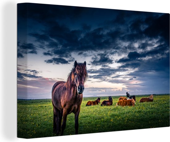 Canvas Schilderij Paarden - Wolken - Gras - 90x60 cm - Wanddecoratie