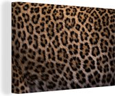 Canvas schilderij 140x90 cm - Wanddecoratie Panterprint - Muurdecoratie woonkamer - Slaapkamer decoratie - Kamer accessoires - Schilderijen