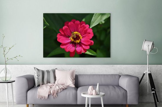 Canvas schilderij 180x120 cm - Wanddecoratie Roze zinnia bloem met een bij erop - Muurdecoratie woonkamer - Slaapkamer decoratie - Kamer accessoires - Schilderijen
