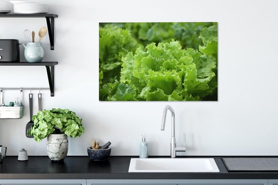 Gros plan d'une tête de laitue Toile 60x40 cm - Tirage photo sur toile (Décoration murale salon / chambre)